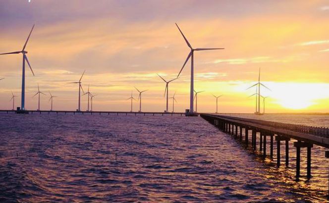 diem-den-du-lich-trai-nghiem-doc-dao-tai-bac-lieu-trong-chuyen-tour-mien-tay-4-ngay-3-dem-30