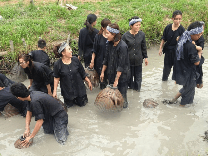 Tour Du Lịch Miền Tây Mỹ Tho - Bến Tre - Tát Mương Bắt Cá 