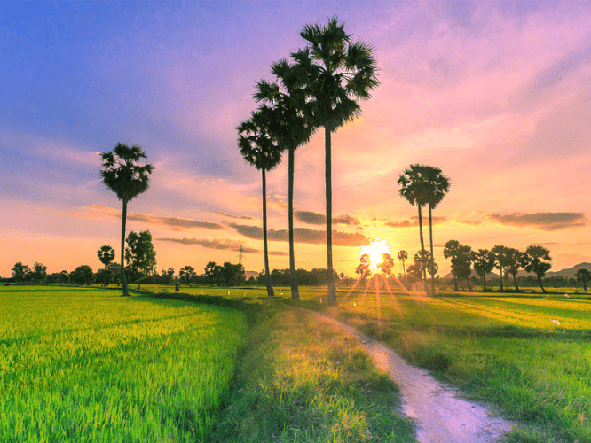 Tour lục tỉnh Miền Tây TOUR CẦN THƠ - CHÂU ĐỐC - SÓC TRĂNG - BẠC LIÊU - CÀ MAU - PHÚ QUỐC