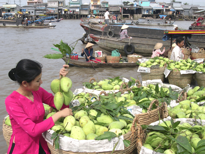 Tour Miền Tây 4 Ngày 3 Đêm: Bến Tre – Tiền Giang – Cần Thơ – Cà Mau – Bạc Liêu – Sóc Trăng 