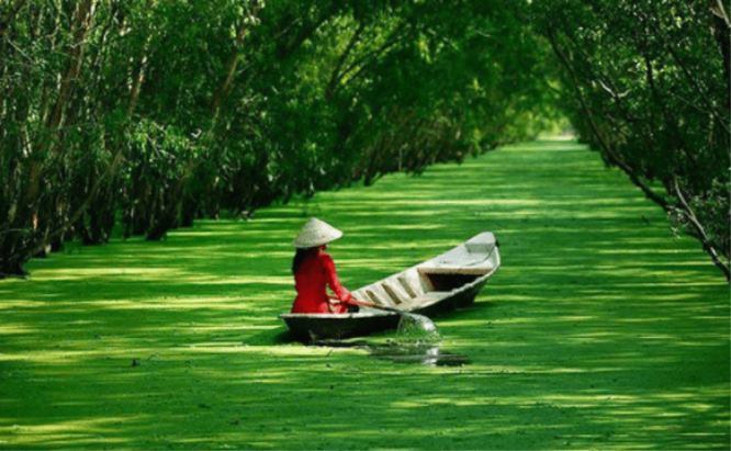 Tour Miền Tây Đồng Tháp - Châu Đốc - Rừng Trà Sư - Ăn tối Du Thuyền