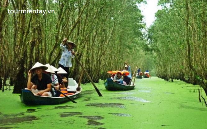 Tour Miền Tây Đồng Tháp - Châu Đốc - Rừng Trà Sư - Ăn tối Du Thuyền Du Lịch Miền Tây-1