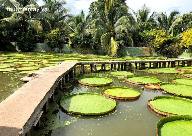 Tour Miền Tây Đồng Tháp - Châu Đốc - Rừng Trà Sư - Ăn tối Du Thuyền Du Lịch Miền Tây-1