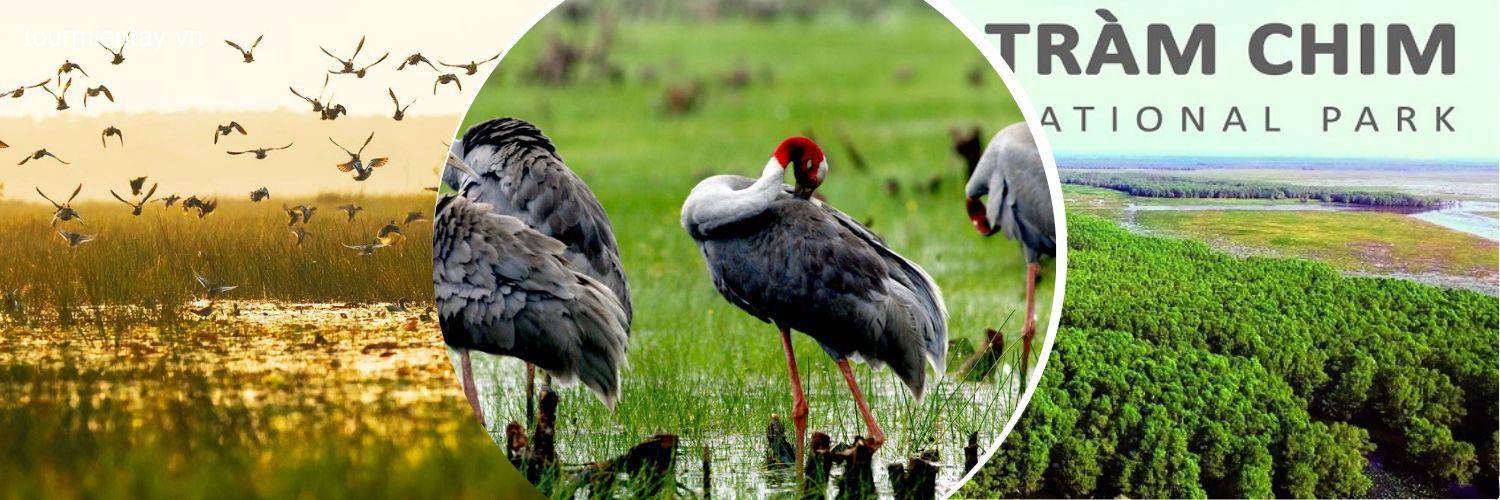 Tour Miền Tây Tiền Giang - Bến Tre - Đồng Tháp - Cần Thơ Du Lịch Miền Tây-1