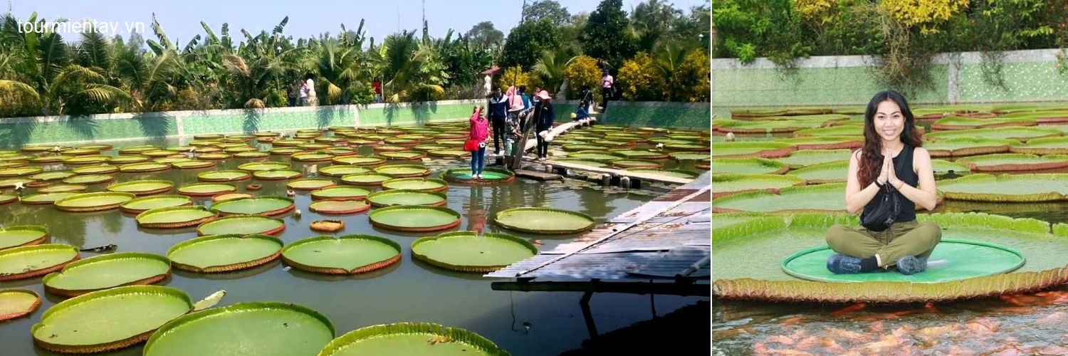 tour-1-ngay-sai-gon-dong-thap-lang-hoa-sa-dec-vuon-quyt-hong-lai-vung-chua-la-sen