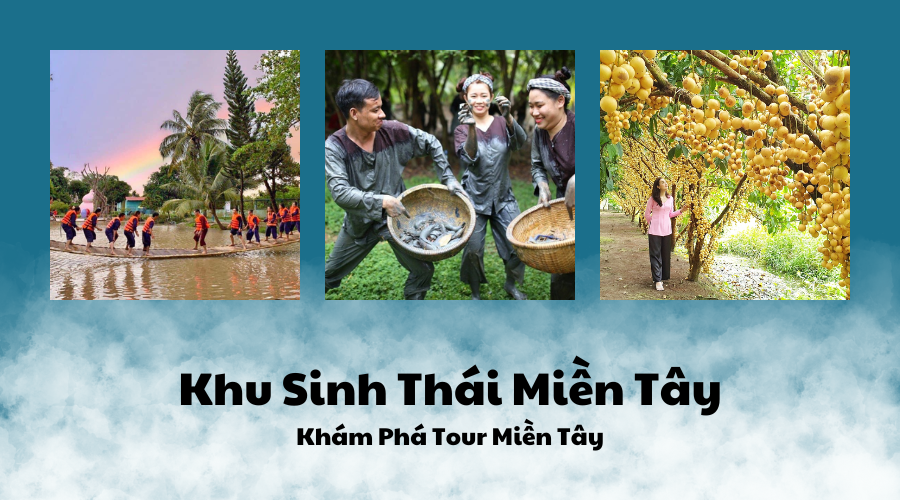 diem-den-du-lich-kham-pha-tour-mien-tay-1-ngay-chuyen-di-day-hap-dan-va-tiet-kiem-6