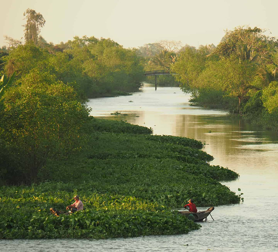 diem-den-du-lich-top-ly-do-khien-vinh-long-la-dia-diem-hap-dan-trong-tour-mien-tay-20