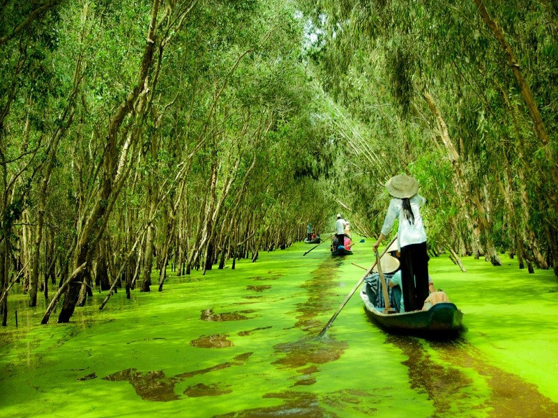 Tour Du Lịch Miền Tây: Khám Phá Chợ Nổi Cái Bè, Cù Lao Tân Phong và Vườn Trái Cây Du Lịch Miền Tây-1