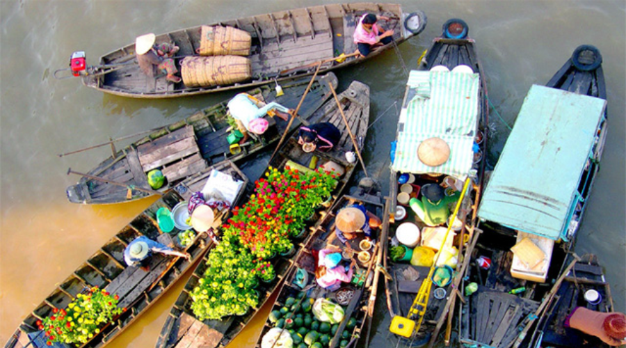 Tour Du Lịch Miền Tây: Khám Phá Chợ Nổi Cái Bè, Cù Lao Tân Phong và Vườn Trái Cây Du Lịch Miền Tây-1