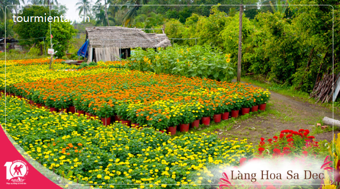 Sài Gòn – Đồng Tháp – Làng Hoa Sa Đéc – Vườn Quýt Hồng Lai Vung – Chùa Lá Sen Du Lịch Miền Tây-1
