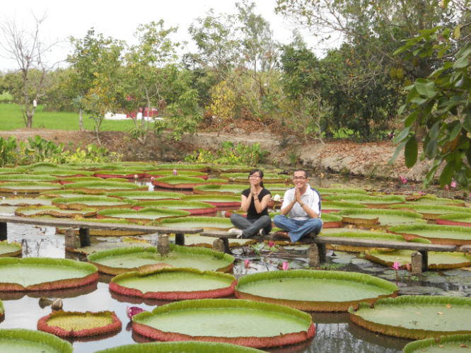 Tour 1 Ngày Sài Gòn – Đồng Tháp: Làng Hoa Sa Đéc – Vườn Quýt Hồng Lai Vung – Chùa Lá Sen Du Lịch Miền Tây-1