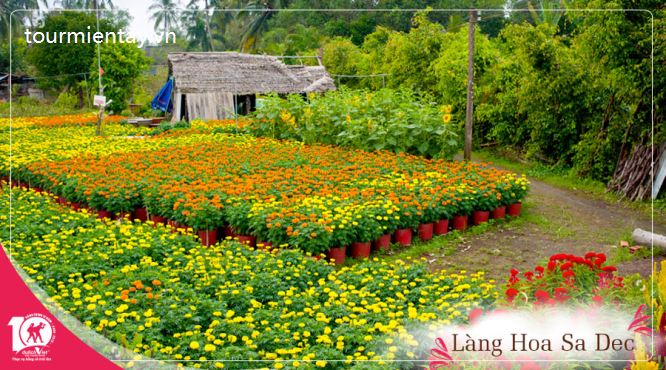 Tour 1 Ngày Sài Gòn – Đồng Tháp: Làng Hoa Sa Đéc – Vườn Quýt Hồng Lai Vung – Chùa Lá Sen Du Lịch Miền Tây-1