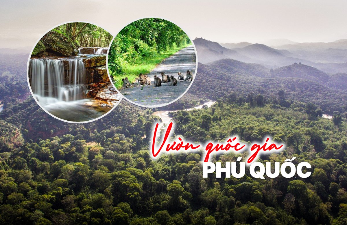 VUON-QUOC-GIA-PHU-QUOC