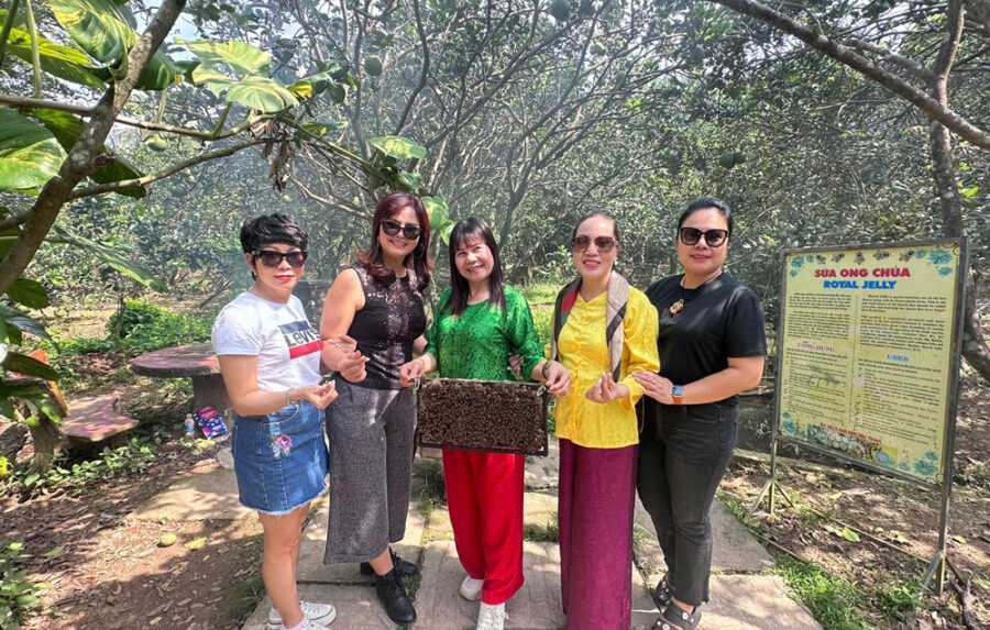 Alternative view of TOUR THAM QUAN MỸ THO - VƯỜN TRÁI CÂY -  BẾN TRE 1 NGÀY GIÁ RẺ