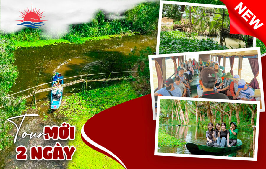 Tour Miền Tây 2N1Đ: Khám Phá rừng tràm Hậu Giang | Trải Nghiệm Sông Nước Độc Đáo
