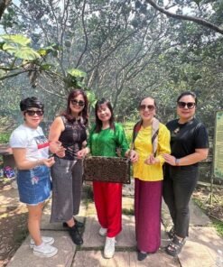 TOUR VIP 2N1Đ KHÁM PHÁ CHỢ NỔI CÁI RĂNG - TRẢI NGHIỆM TÂY ĐÔ ĐẬM ĐÀ BẢN SẮC
