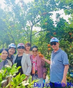 TOUR MIỀN TÂY ĐỒNG THÁP - LÀNG HOA SA ĐÉC- HAPPY LAND HÙNG THY - VƯỜN QUÝT HỒNG LAI VUNG - CHÙA LÁ SEN 1 NGÀY