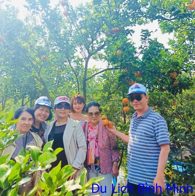 TOUR MIỀN TÂY ĐỒNG THÁP – LÀNG HOA SA ĐÉC- HAPPY LAND HÙNG THY – VƯỜN QUÝT HỒNG LAI VUNG – CHÙA LÁ SEN 1 NGÀY