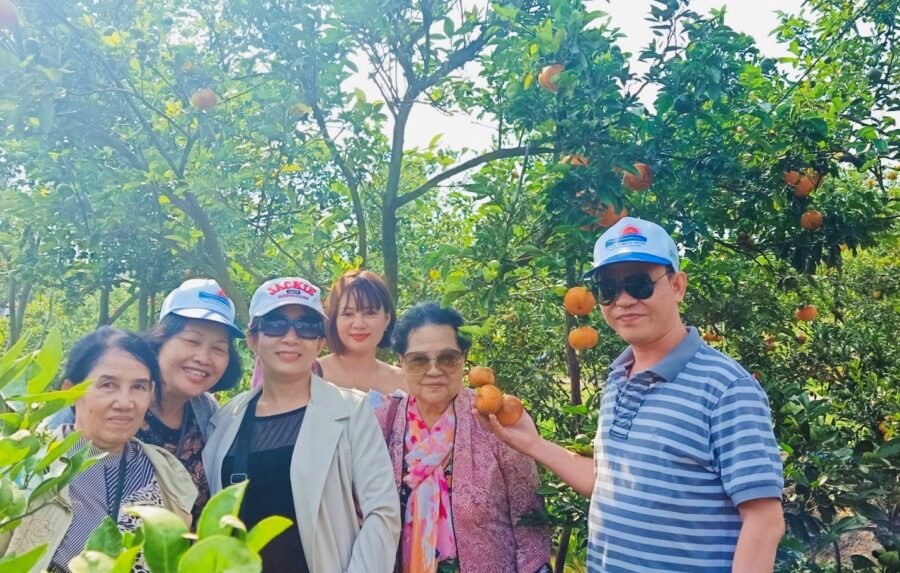 TOUR MIỀN TÂY ĐỒNG THÁP - LÀNG HOA SA ĐÉC- HAPPY LAND HÙNG THY - VƯỜN QUÝT HỒNG LAI VUNG - CHÙA LÁ SEN 1 NGÀY