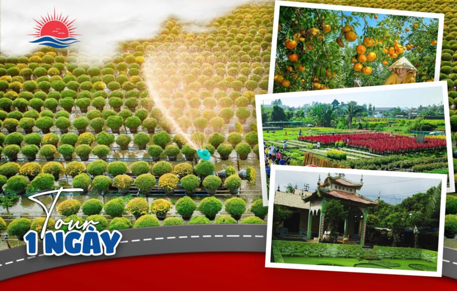 TOUR MIỀN TÂY ĐỒNG THÁP - LÀNG HOA SA ĐÉC- HAPPY LAND HÙNG THY - VƯỜN QUÝT HỒNG LAI VUNG - CHÙA LÁ SEN 1 NGÀY