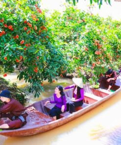 TOUR SÀI GÒN - CẦN THƠ 1 NGÀY. TỰ HÁI TRÁI CÂY TẠI VƯỜN