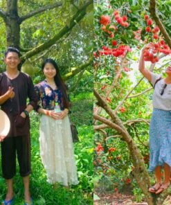 TOUR SÀI GÒN - CẦN THƠ 1 NGÀY. TỰ HÁI TRÁI CÂY TẠI VƯỜN