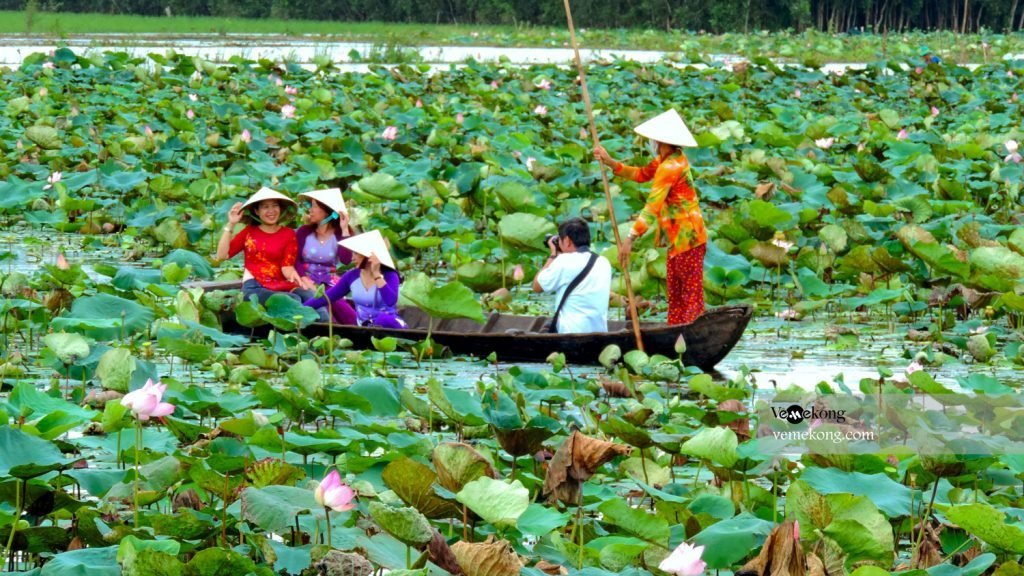 lễ hội sông nước Đồng Tháp Mười - Sự hình thành và phát triển của các lễ hội sông nước đặc trưng vùng Đồng Tháp Mười
